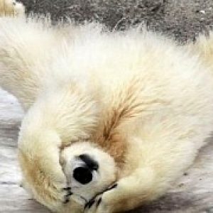 How to fix a device bricked by windows 10 build 16212