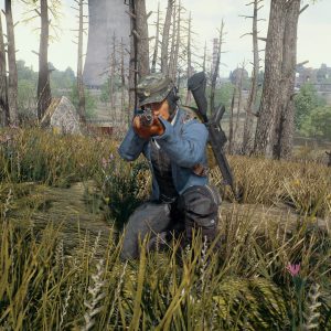 Playeruknowns battlegrounds cheats