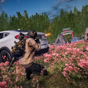 Gameplay graphics in flower garden