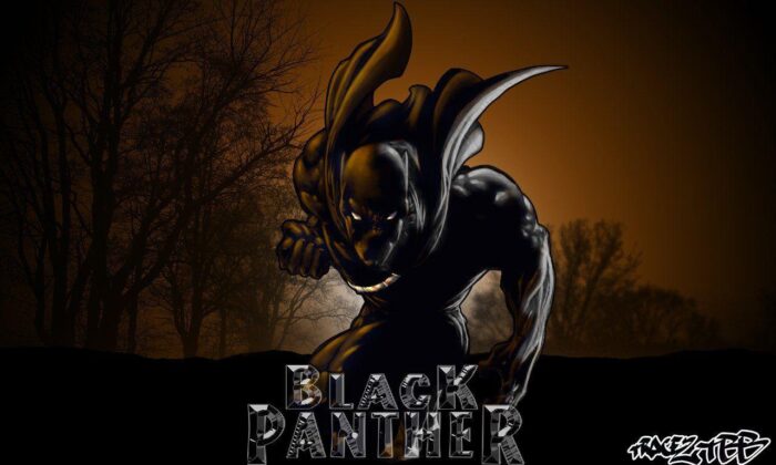 Wp1869948 black panther marvel wallpapers