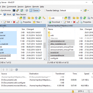 Winscp ftp screenshot