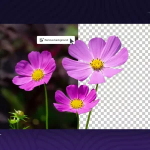 Coreldraw graphics suite 2026 background remover