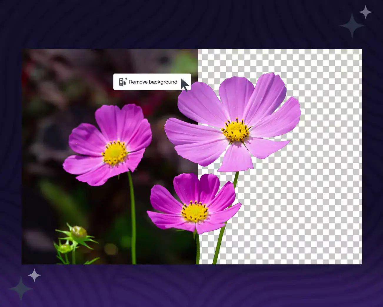 Coreldraw graphics suite 2026 background remover - CorelDRAW Graphics Suite 2025 for Windows PC: Download Guide, Tips & Features
