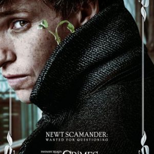 Newt scamander background