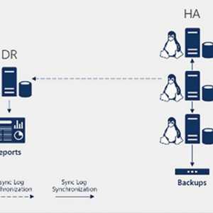 Linux with windows sql server 2017