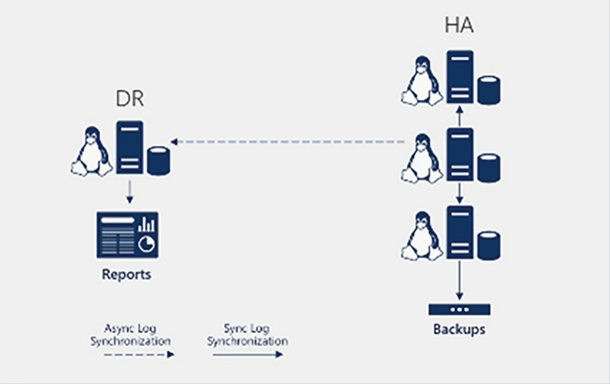 Linux with windows sql server 2017