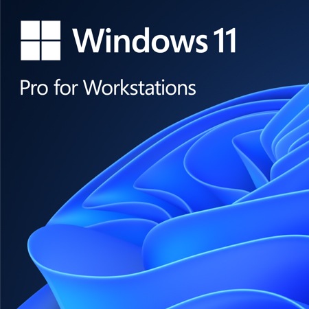 Windows11 pro workstations logo