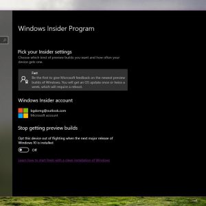 Microsoft will soon allow users to register for windows 10 19h2 builds 524754 2