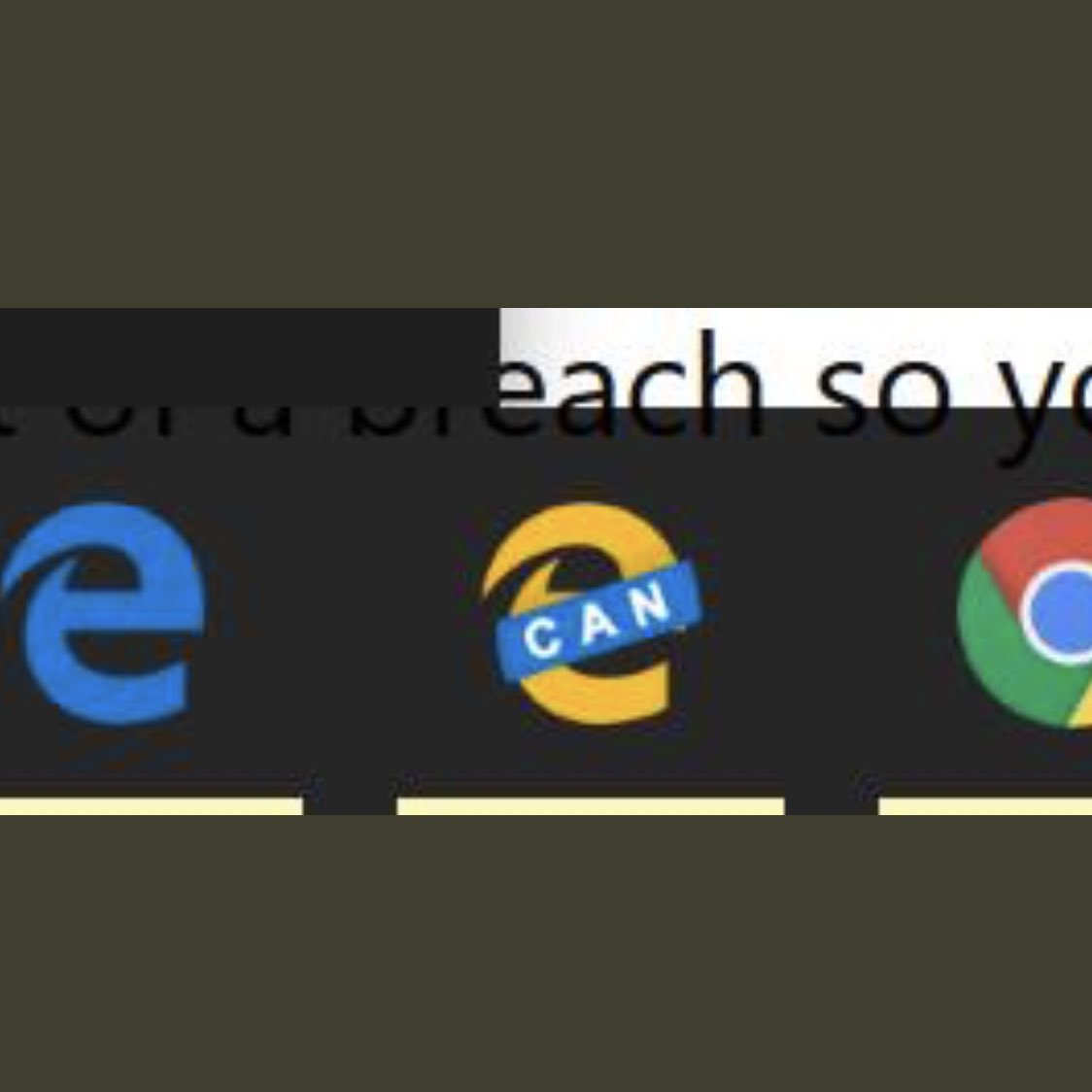fast chromium based browser fast chromium based browser