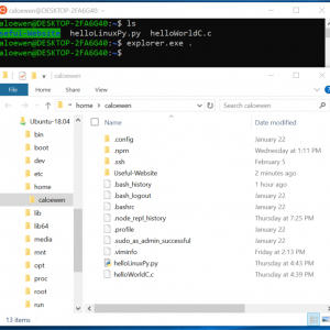 Windows 10 19h1 build 18342 brings linux files to file explorer 525034 2