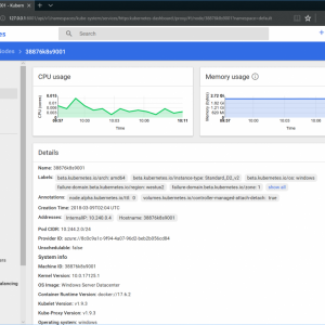 Memory usage report