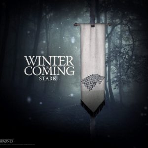 Winter is coming custom