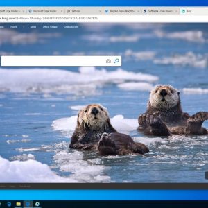 Chromium based microsoft edge browser screenshot tour 525424 2