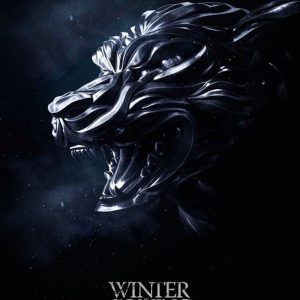 Iphone wallpaper winter is coming