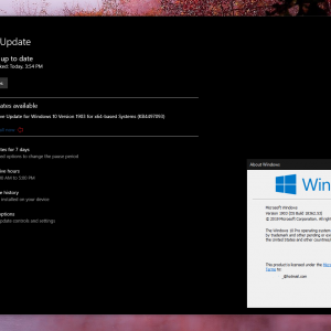 Download and install update option now live in windows 10 may 2019 update 525845 2