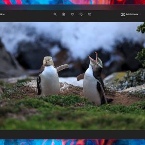 How searching for similar images on bing works in windows 10 photos app 525978 2