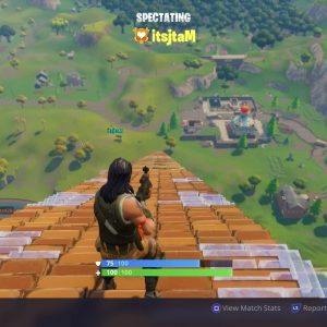 Fortnite battle royale theater mode