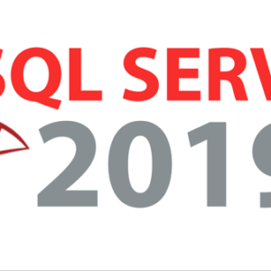 Sql server 2019 official logo