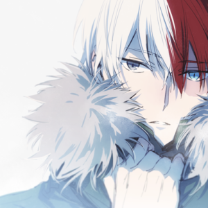 Todoroki winter