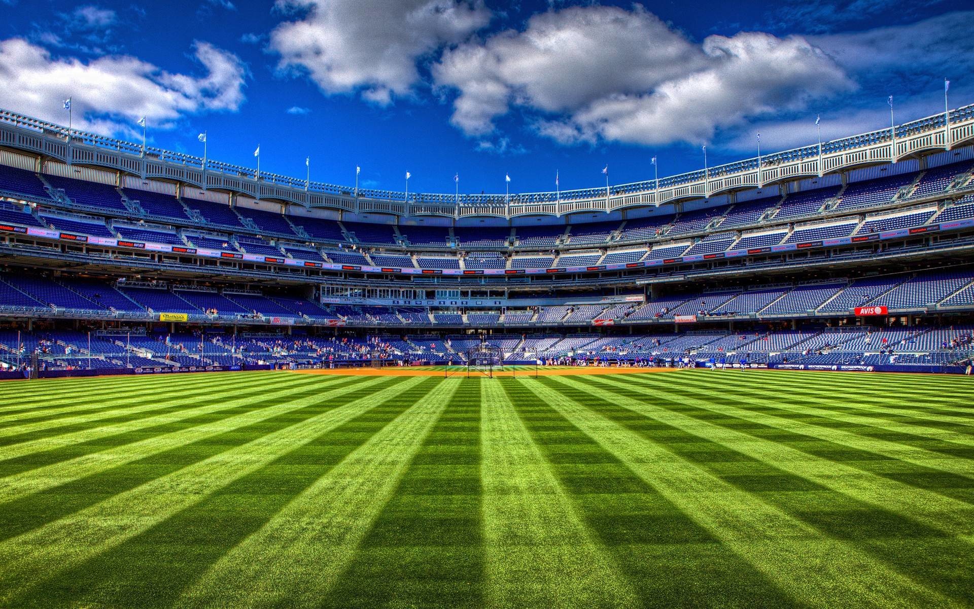 Empty ny stadium