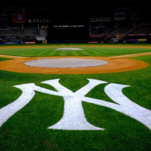 New york yankees stadium logo