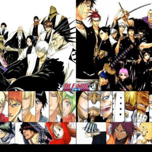 Bleach all characters