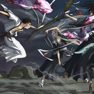 Captains vs aizen