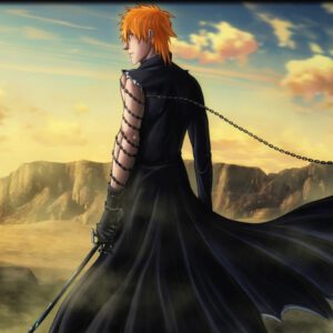 Ichigo chain sword