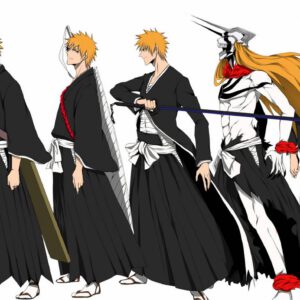 Ichigo forms photo