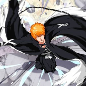 Ichigo fullbring background