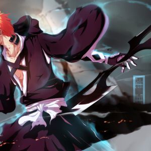 Ichigo fullbringer cool