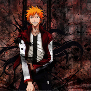 Ichigo normal clothes