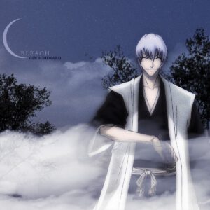 Ichimaru gin smile wallpaper