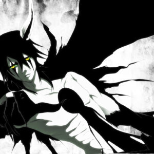 Ulquiorra cool