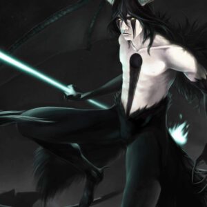 Ulquiorra solo