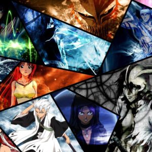 Many bleach characters