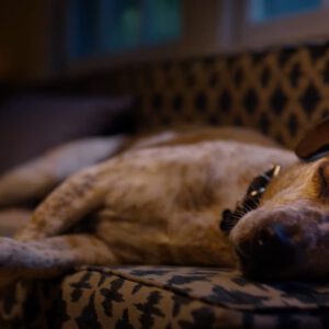 Microsoft s 2020 holiday ad is all kinds of cool 531685 2