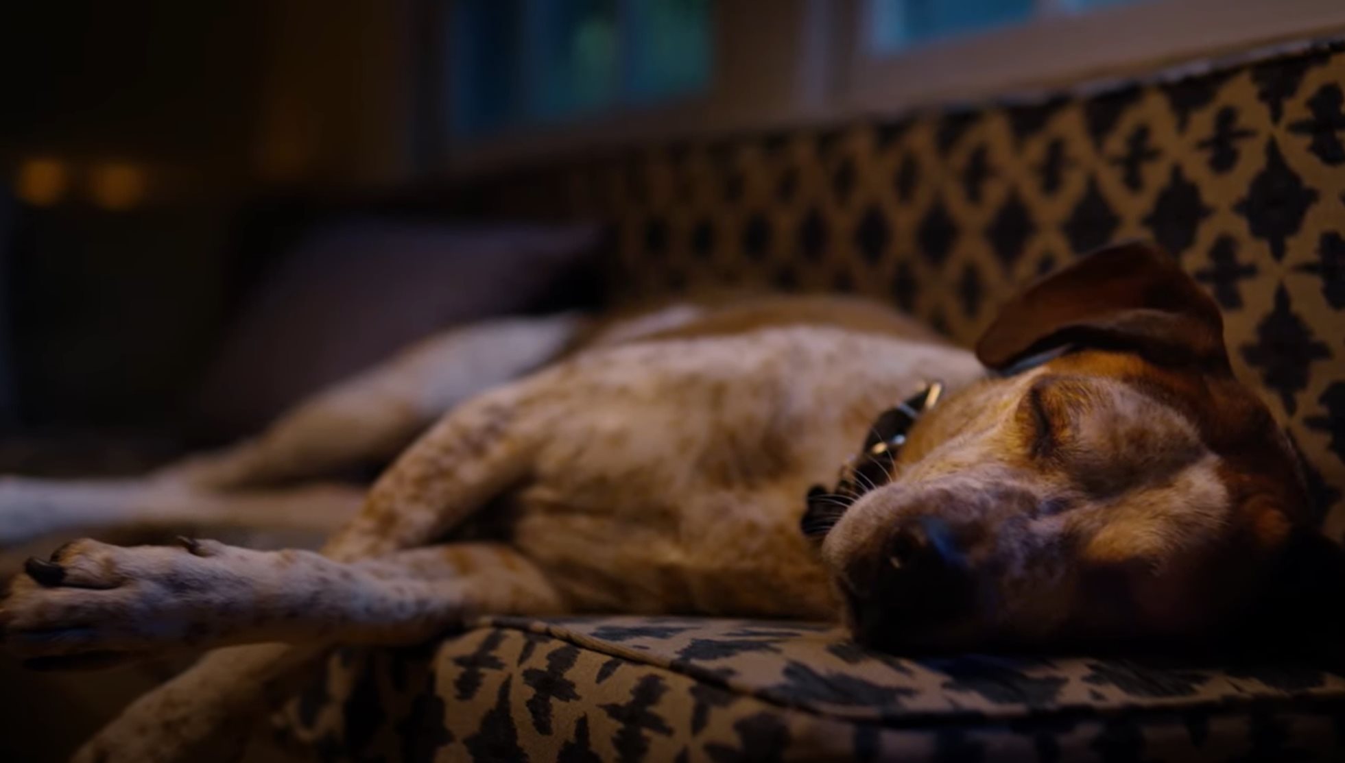 Microsoft s 2020 holiday ad is all kinds of cool 531685 2