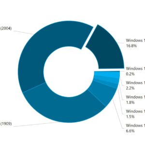 Windows 10 version 20h2 grows bigger still not big enough though 532042 2