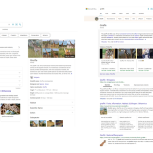 Microsoft announces new bing features that could make you give up on google 532349 2