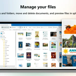Manage your files