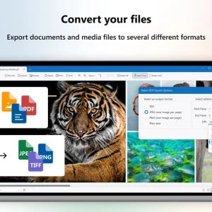 Convert files