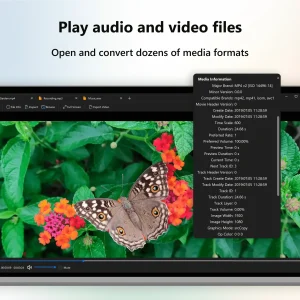 Play audio video files