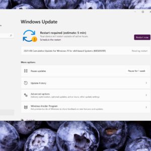 Microsoft releases windows 11 build 22000168