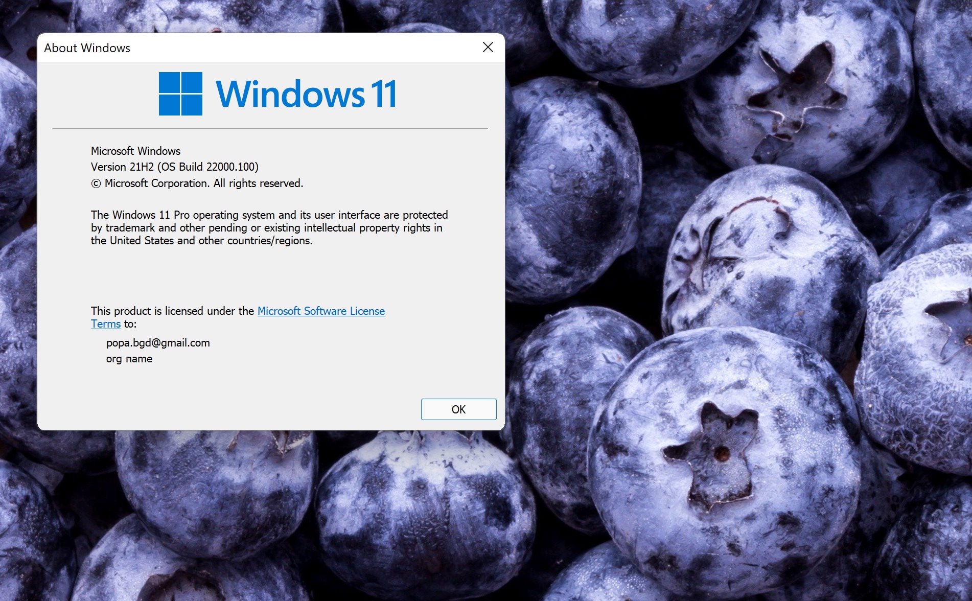 Want More Stable Builds of Windows 11 Heres What You Want More Stable