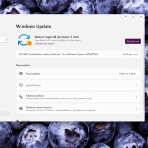 Windows 10 version 21h2 will recommend windows 11 if supported