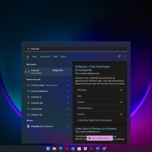Microsoft fixes black search bug on windows 11