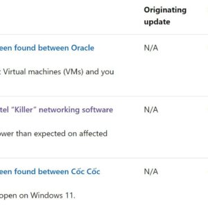 These are the known issues in windows 11 rtm