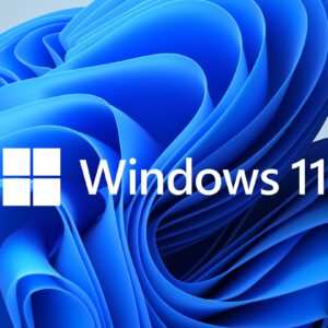 Windows 11 creates hundreds of empty folders for no reason