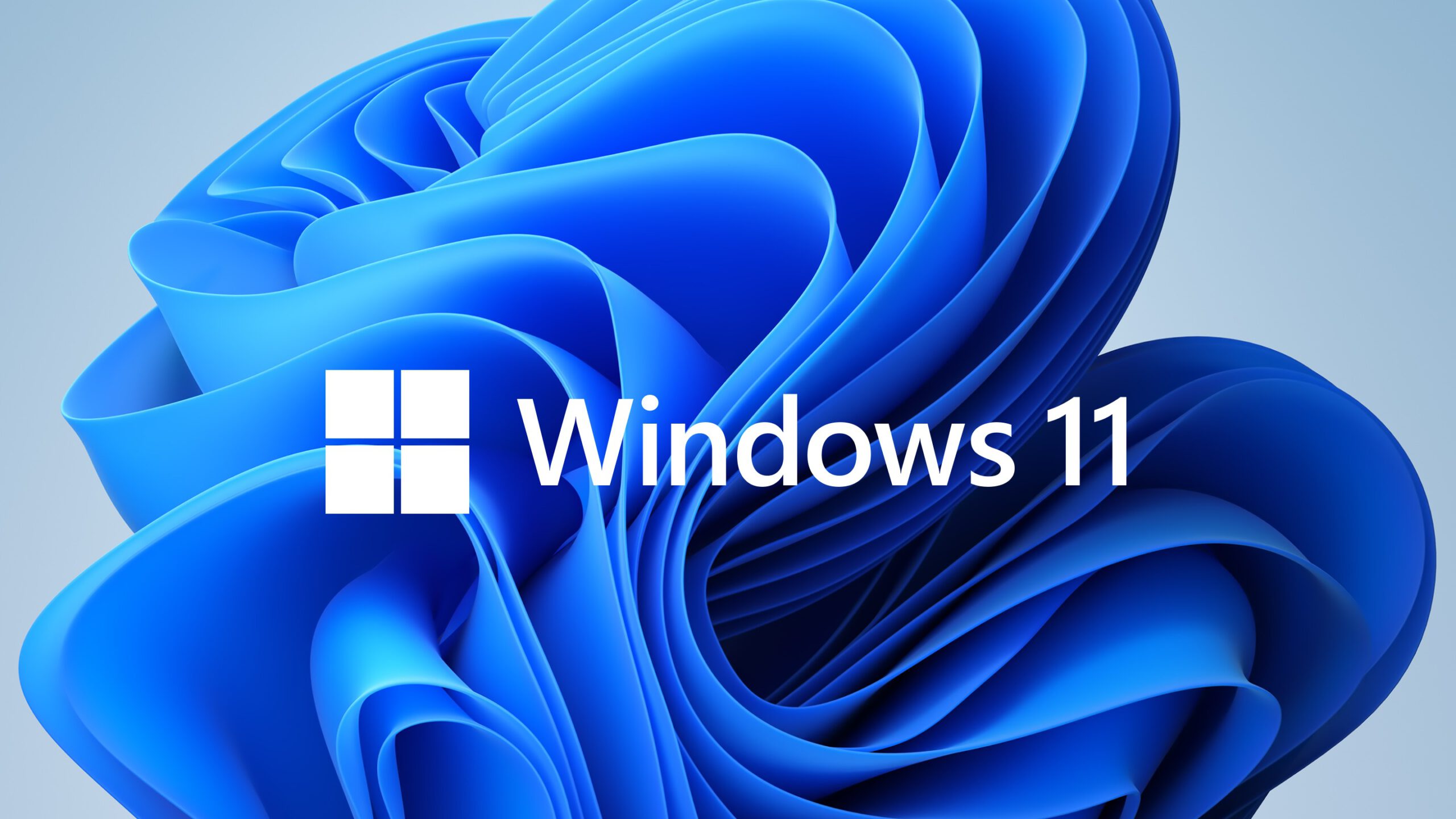 Windows 11 creates hundreds of empty folders for no reason